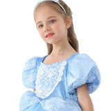 HAWEE Princess Dress Costume for Little Girl Puff Sleeves Blue Fancy Party Cosplay Outfit - KAMO