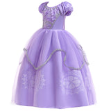 HAWEE Princess Dress Girls Purple Costume Halloween Puff Sleeve Princess Dress for Party - KAMO