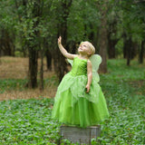 HAWEE Flowers Fairy Costume for Girls Toddler Halloween Birthday Party Fairy Elf Dress up with Wings - KAMO