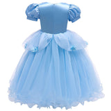 HAWEE Toddler Girls Princess Blue Costumes Halloween Dress up Fancy Gown for Cosplay Party - KAMO