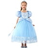 HAWEE Princess Dress Costume for Little Girl Puff Sleeves Blue Fancy Party Cosplay Outfit - KAMO