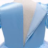 HAWEE Toddler Girls Princess Blue Costumes Halloween Dress up Fancy Gown for Cosplay Party - KAMO