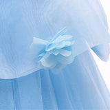 HAWEE Toddler Girls Princess Blue Costumes Halloween Dress up Fancy Gown for Cosplay Party - KAMO
