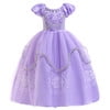 HAWEE Princess Dress Girls Purple Costume Halloween Puff Sleeve Princess Dress for Party - KAMO